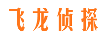 平邑侦探公司